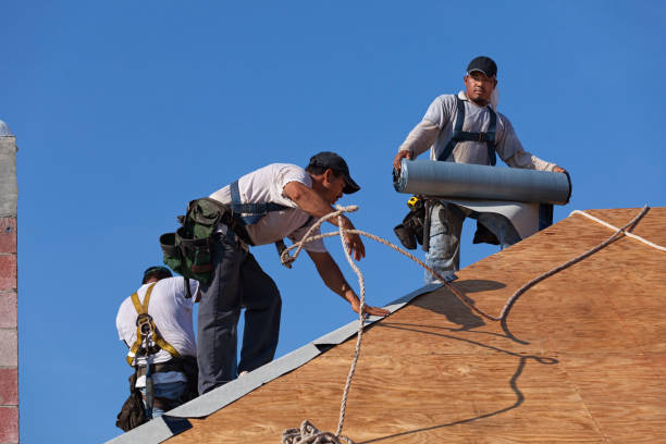 Professional Roofing Contractor in Trail Creek, IN